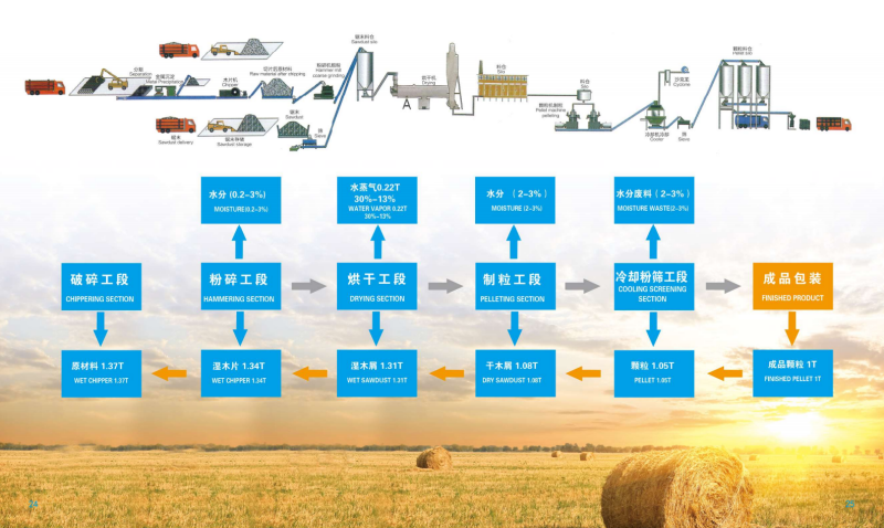 黑白体育宣传册_13 - 副本.png